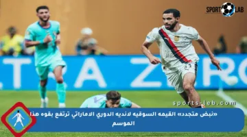 «نبض متجدد» القيمة السوقية لأندية الدوري الإماراتي ترتفع بقوة هذا الموسم